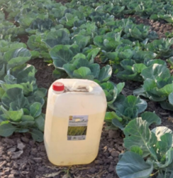 microfertile® plant kanister na polu kapusty